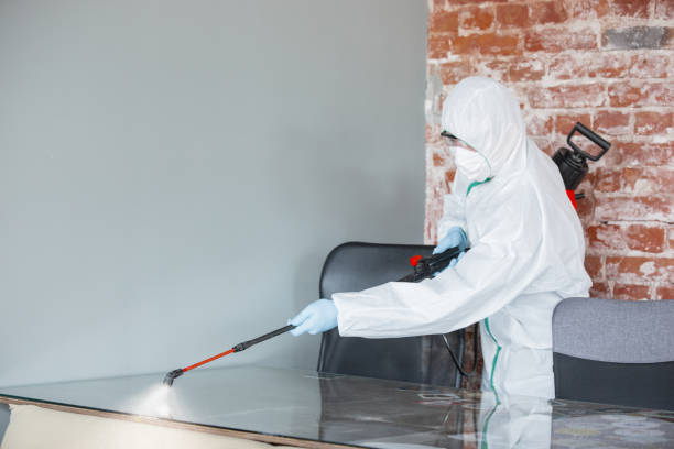 Reliable Friend, NE Mold Removal Services Solutions